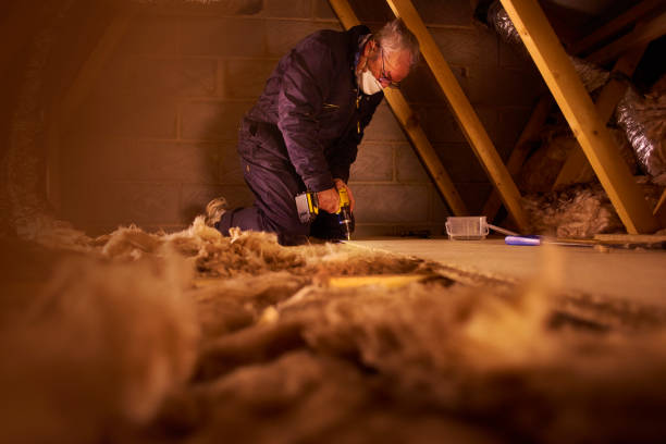 Best Insulation Installation Services in Spencer, IA